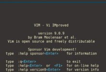 Photo of La versión 9.0 de Vim, el histórico editor de texto, ahora incorpora un lenguaje de scripting hasta 1000 veces más rápido