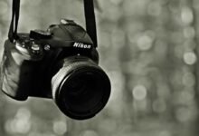 Photo of Nikon y Canon irán dejado atrás a las cámaras SLR en favor de las cámaras sin espejo