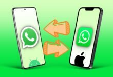 Photo of Cómo pasar conversaciones de WhatsApp de Android a iPhone y viceversa: guía para hacerlo paso a paso
