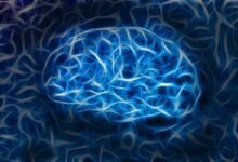 Photo of Células cerebrales que aprenden a jugar Pong, la última hazaña alcanzada por la ciencia