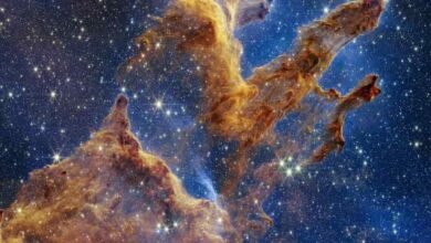 Photo of El Telescopio espacial James Webb presenta su versión de la icónica imagen de los Pilares de la creacion