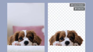 Photo of 5 herramientas gratuitas para eliminar el fondo de una imagen