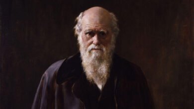 Photo of Toda la correspondencia de Charles Darwin en Internet