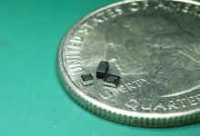 Photo of Sensores para robots voladores diminutos, del tamaño de un mosquito