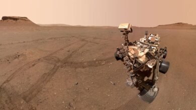 Photo of El rover Perseverance termina su primer depósito de muestras sobre el suelo de Marte