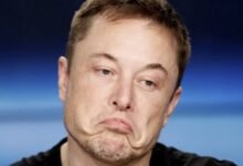 Photo of Elon Musk quiso investigar por qué tiene menos impacto en Twitter. Despidió al ingeniero que le dijo que interesa menos