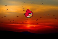 Photo of El último vuelo del Angry Birds original: desaparecerá mañana de Google Play