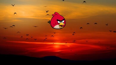 Photo of El último vuelo del Angry Birds original: desaparecerá mañana de Google Play