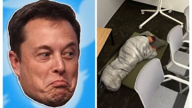 Photo of Elon Musk despide a la creadora de Twitter Blue, que durmió en la oficina para estar siempre disponible, y a casi todo su equipo
