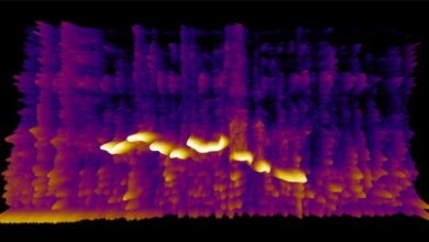 Photo of Un sencillo espectrograma del sonido del micrófono directamente en el navegador