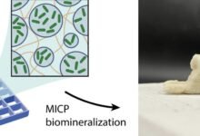 Photo of Una tinta con bacterias para producir biomateriales con impresoras 3D