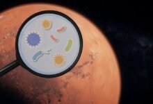 Photo of ¿Por qué no encontramos vida en Marte? La culpa la tiene la tecnología usada