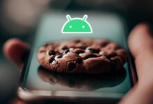 Photo of Dónde guarda las cookies tu Android y cómo borrar los datos de rastreo para mejorar tu privacidad