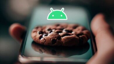 Photo of Dónde guarda las cookies tu Android y cómo borrar los datos de rastreo para mejorar tu privacidad