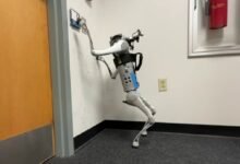 Photo of Robots que usan sus patas como si fueran brazos