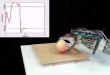 Photo of Innovadora mano robótica ahorra energía y no suelta objetos