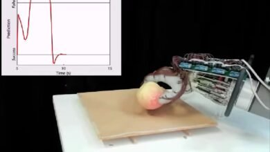 Photo of Innovadora mano robótica ahorra energía y no suelta objetos
