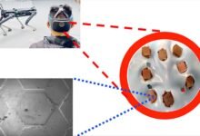 Photo of Control mental de robots: sensores en 3D permiten controlar robots con el pensamiento