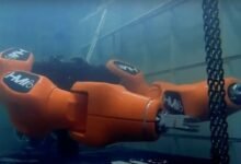 Photo of Terranaut: El robot anfibio que detecta amenazas subacuáticas