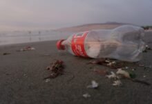 Photo of Acabar con la contaminación por plásticos