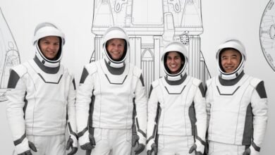 Photo of La tripulación Crew-7 de la Estación Espacial Internacional estará formada por astronautas de cuatro agencias distintas