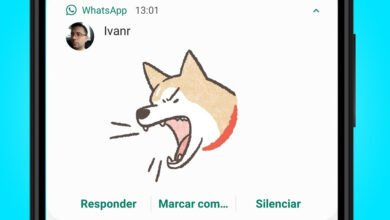 Photo of WhatsApp te ayuda a elegir el sticker perfecto con la nueva sugerencia de stickers a partir de emojis