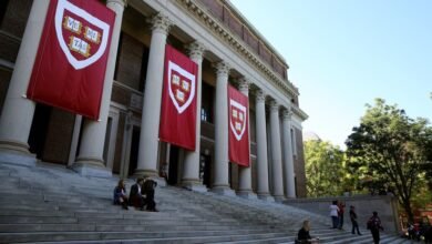 Photo of Harvard está ofreciendo cursos gratis a cualquiera para aprender a programar desde cero o aprender una nueva temática