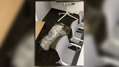 Photo of De CEO de Squad a dormir en las oficinas de Twitter para cumplir las exigencias de Elon Musk: así lo vivió esta exempleada