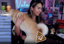 Photo of Esta streamer protagoniza el baneo más surrealista de Twitch: su perro defeca en pleno directo y acaba expulsada