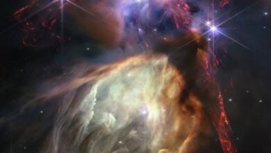Photo of El telescopio espacial James Webb celebra su primer año en funcionamiento con una impresionante imagen del criadero de estrellas de Rho Ophiuchi