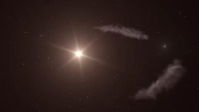 Photo of Hallan primera evidencia de planetas troyanos: Dos cuerpos celestes compartiendo órbita