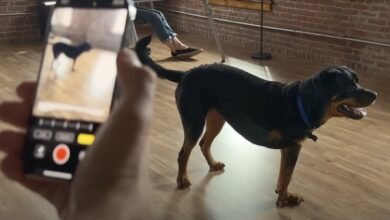 Photo of El iPhone salvó la vida de estos perritos: esta App que usa el sensor LiDAR le da una nueva oportunidad