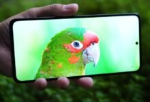 Photo of El Xiaomi 13T, sin secretos: un vídeo filtrado nos desvela todas sus características