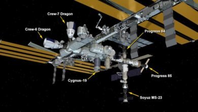 Photo of La tripulación Crew-7 ya está a bordo de la Estación Espacial Internacional