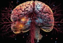 Photo of Extracción de música desde el cerebro: un vistazo a la tecnología que transforma ondas cerebrales en sonido