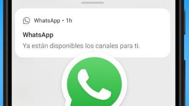 Photo of Los canales llegan a WhatsApp y se llevan por delante a la pestaña 'Estados'
