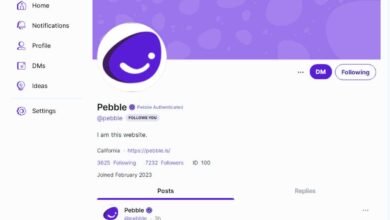 Photo of T2, uno de los rivales a X (antes Twitter) pasa a llamarse oficialmente Pebble