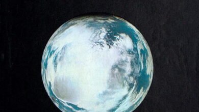 Photo of Un archivo escaneado a alta calidad de los ejemplares del Whole Earth Catalog y sucesores, legendaria publicación de la contracultura (1968-1998)