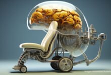 Photo of Cómo la tecnología de Interfaz Cerebro-Máquina devuelve la movilidad a los parapléjicos
