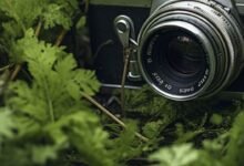 Photo of En plena era digital, Kodak lanzará su nueva cámara de filmación en película Super 8