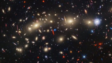 Photo of El colorido aspecto del cúmulo de galaxias MACS0416, observado por los telescopios Hubble y Webb