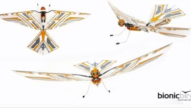 Photo of Un dron que vuela como un pájaro, así es el X-Fly