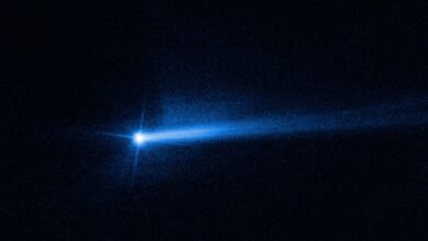 Photo of La misión DART de la NASA no sólo cambió significativamente la órbita del asteroide Dimorfo sino también su forma