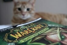 Photo of Los moderadores de World of Warcraft han baneado a un usuario por ofrecer soluciones gratuitas que otros ofrecen cobrando