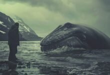 Photo of Hablar con ballenas como preparación para hablar con extraterrestres, lo nuevo de SETI