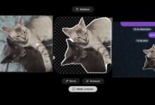 Photo of Cómo crear pegatinas en Telegram, un vídeo con el paso a paso