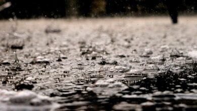 Photo of Llegan las lluvias de sangre, temperaturas cerca de los 40 grados y una DANA: entérate de todo con esta app para iPhone