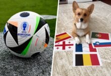 Photo of Ni ChatGPT ni Siri: este perro tikoker acierta los resultados de la Eurocopa y acaba de lanzar su pronóstico de la final España-Inglaterra